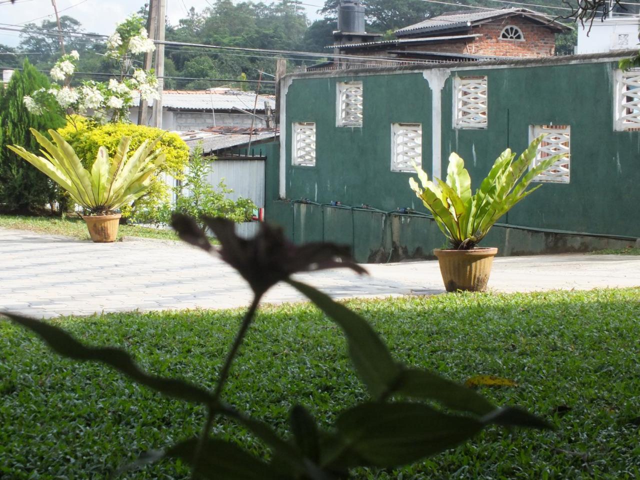 Hillsview Rest & Guest House 마탈레 외부 사진