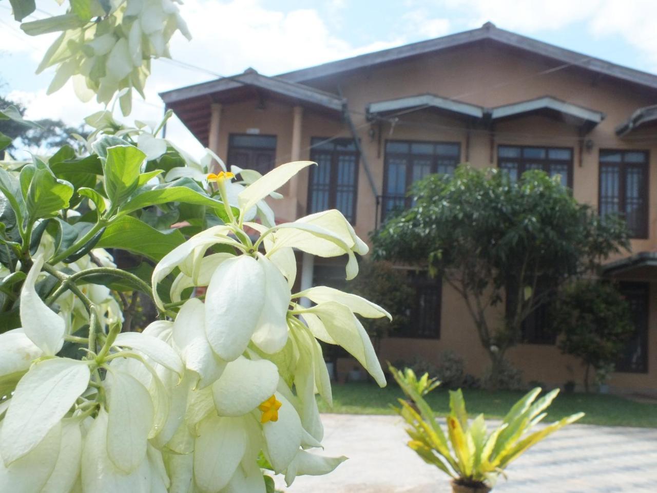 Hillsview Rest & Guest House 마탈레 외부 사진
