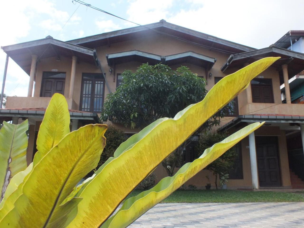 Hillsview Rest & Guest House 마탈레 외부 사진