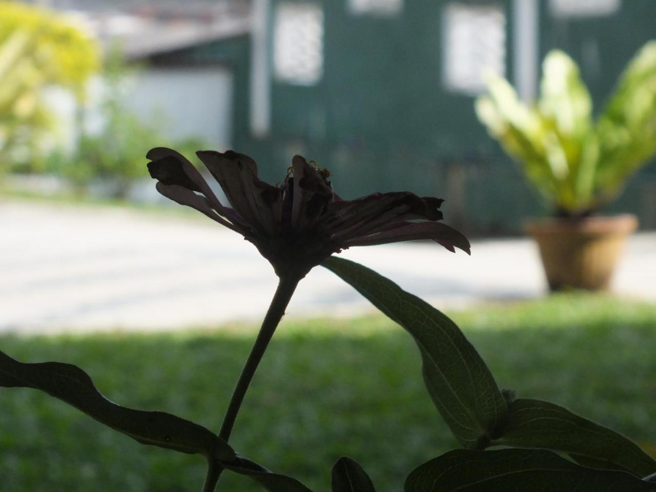 Hillsview Rest & Guest House 마탈레 외부 사진